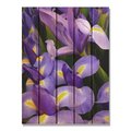 Ricki&Aposs Rugs 28 x 36 in. French Iris Inside & Outside Cedar Wall Art RI894956